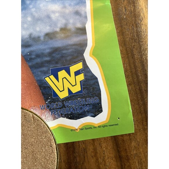 Sunny WWF Poster 16" x 20" Wrestling - Picture 4 of 7